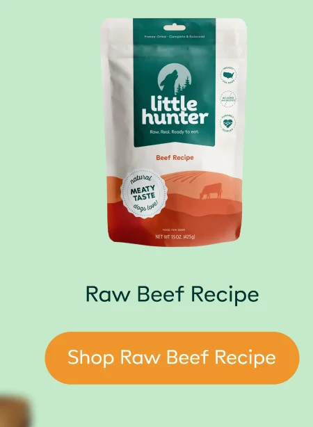 Raw Beef Recipe