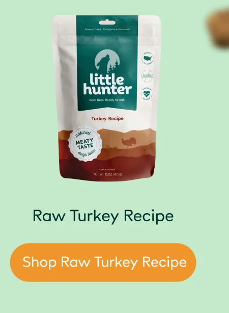 Raw Turkey Recipe