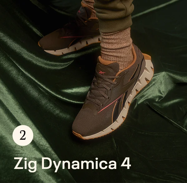 Zig Dynamica 4