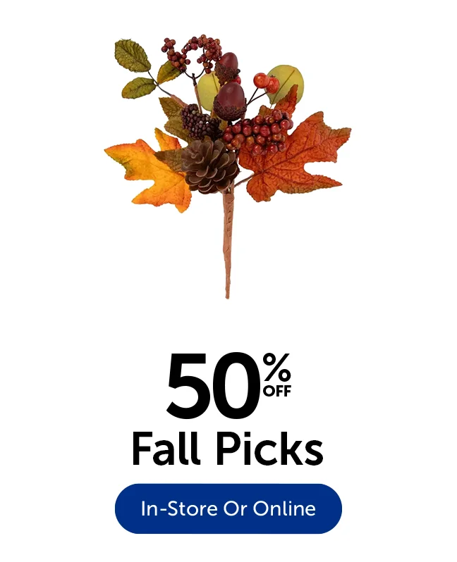 50% Off Fall Picks