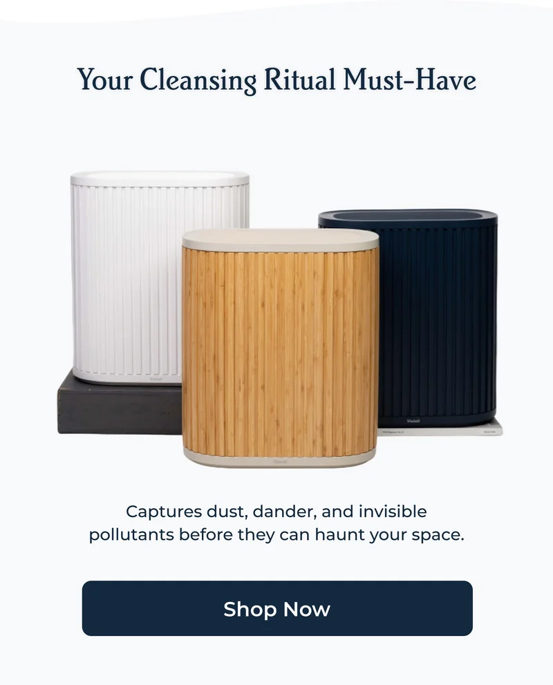 Your Cleansing Ritual Must-Have | Shop Air Purifiers
