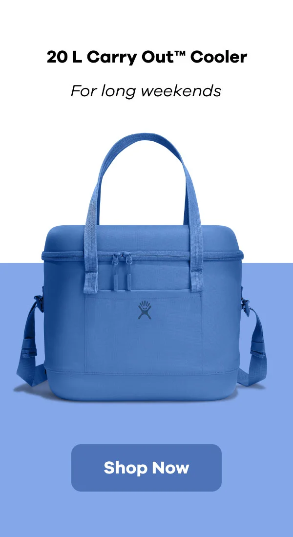 20 L Carry Out Soft Cooler | Shop Now