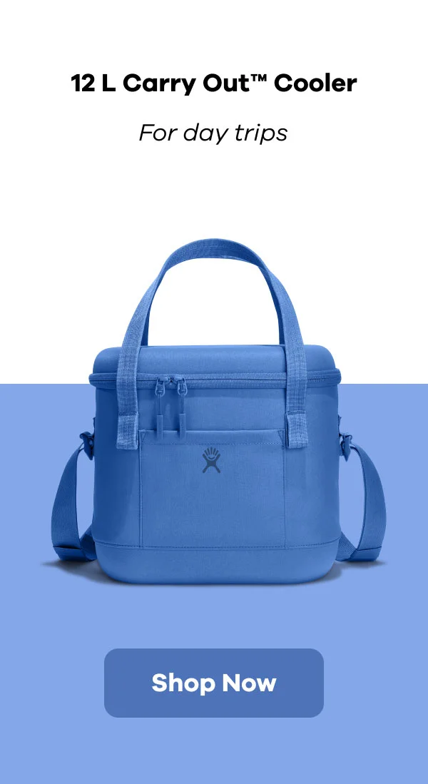 12 L Carry Out Soft Cooler | Shop Now