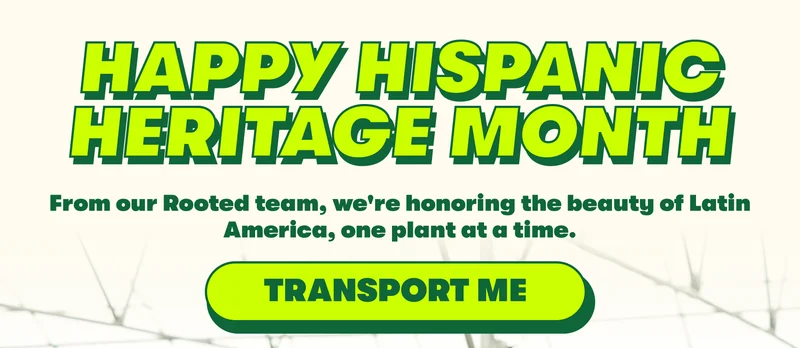 HAPPY HISPANIC HERITAGE MONTH HAPPY HISPANIC HERITAGE MONTH Honoring the beauty of Latin America, one plant at a time [TRANSPORT ME]