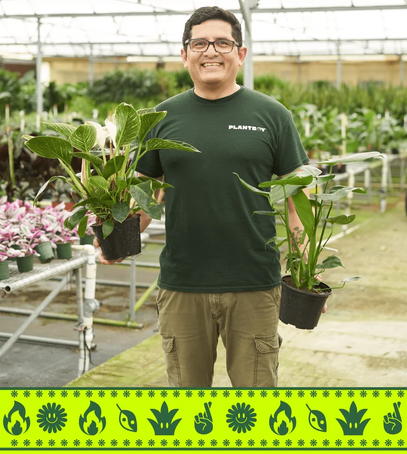 People holding Plants
