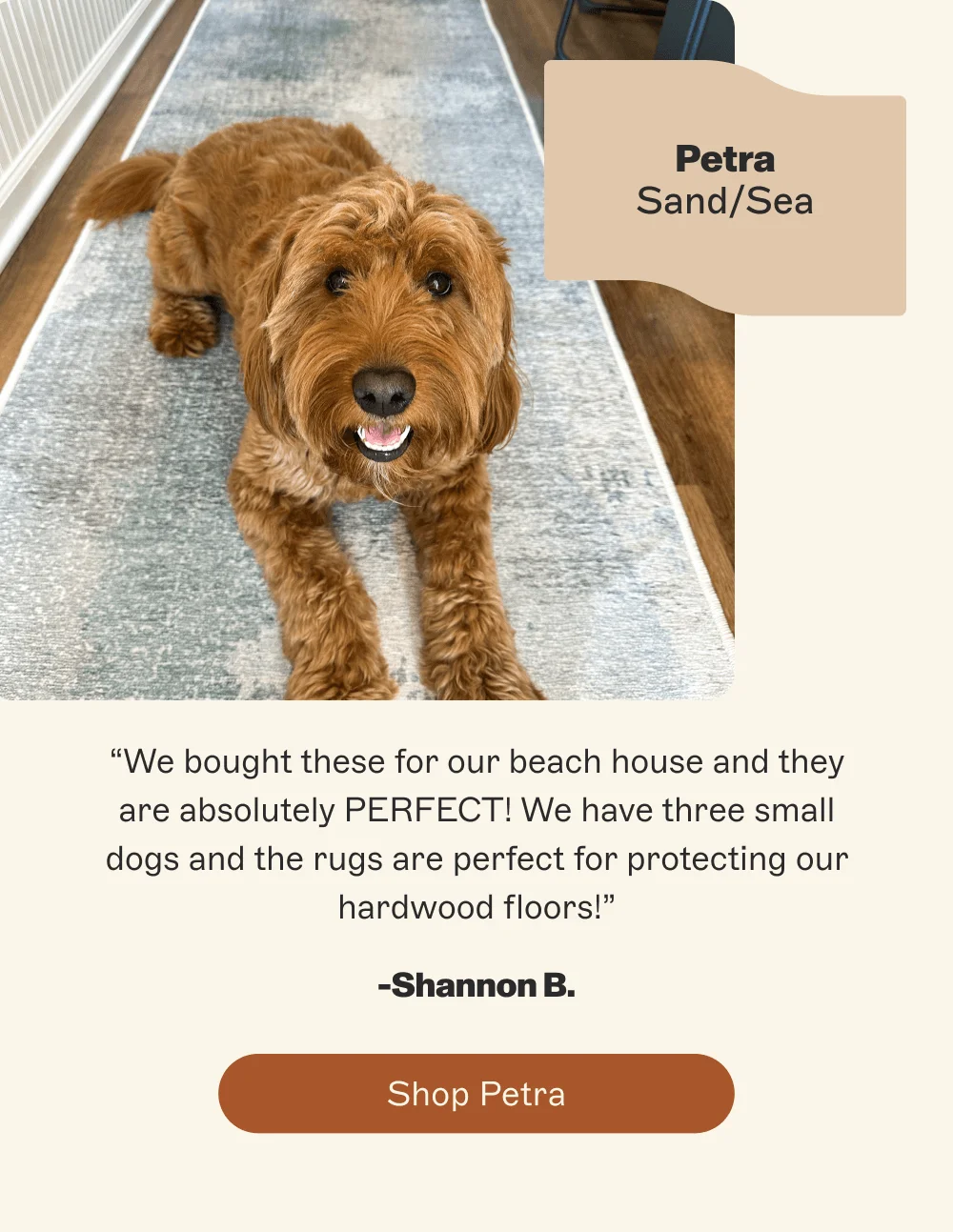[Shop Petra]