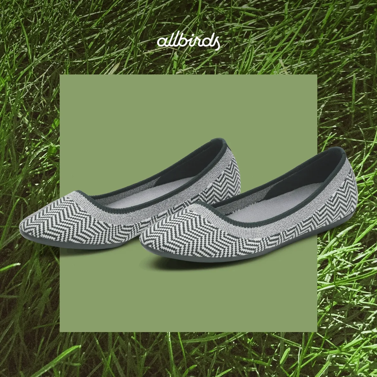 Allbirds Spring Syles