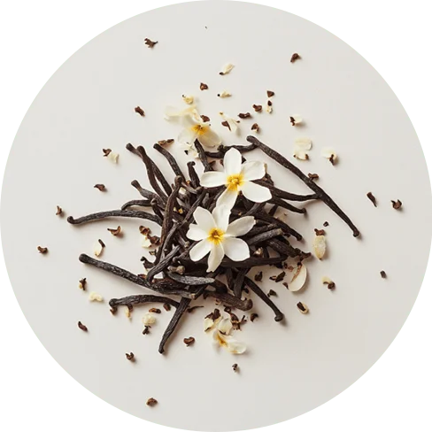 Vanilla