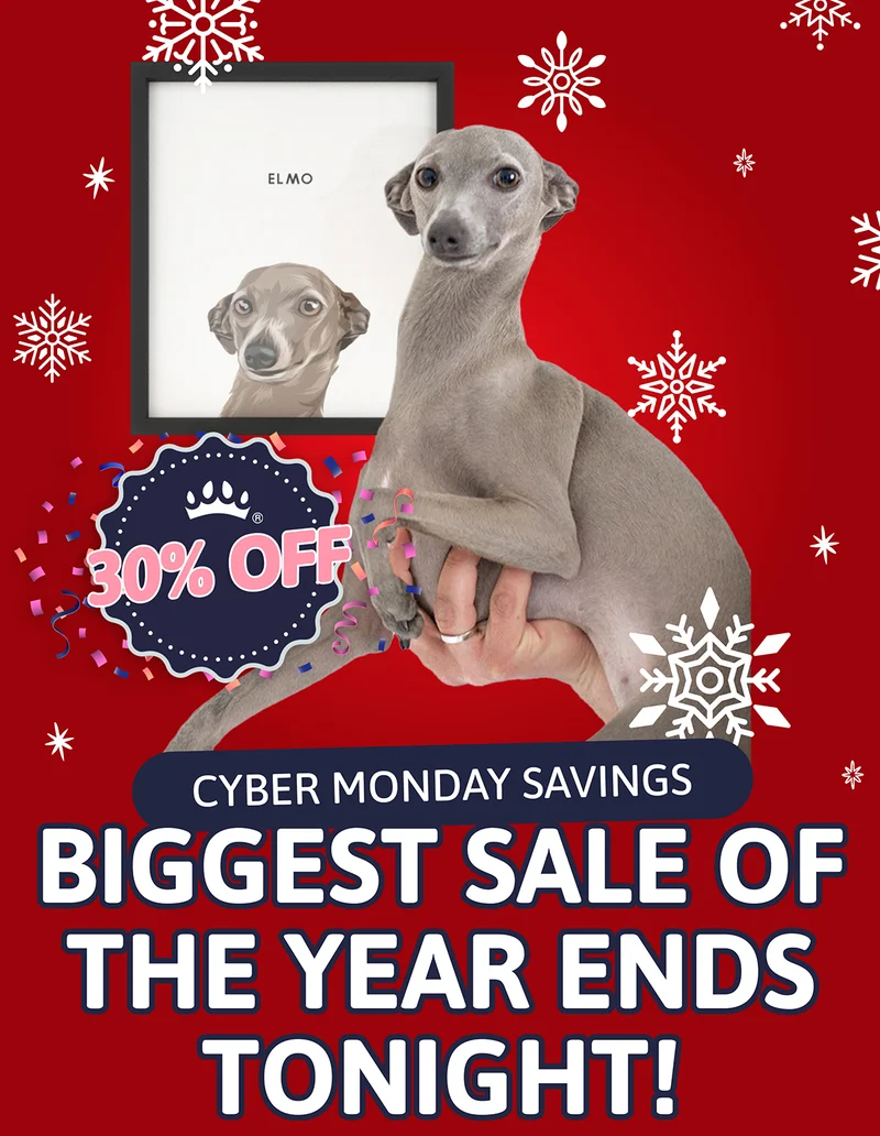 Cyber Monday Savings: Biggest Sale of the Year Ends Tonight!