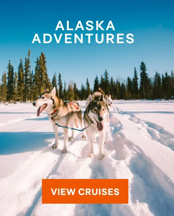 Alaska Adventures – Click to View Cruises & Book Now