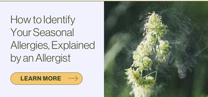 How to identify your seasonal allergies, explained by an allergist.