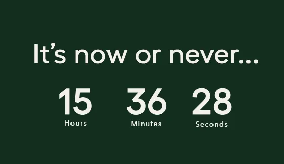 countdown timer