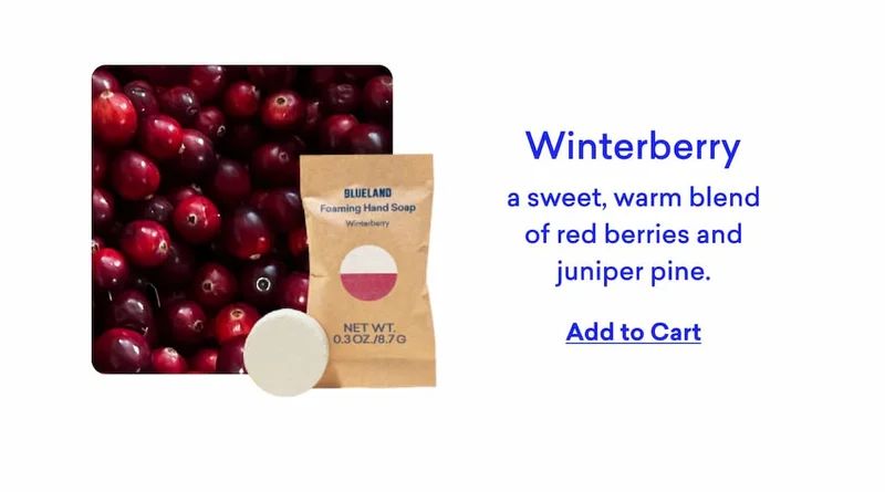 Winterberry