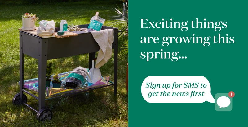 Exciting things are growing this spring... Sign up for SMS to get the news first!