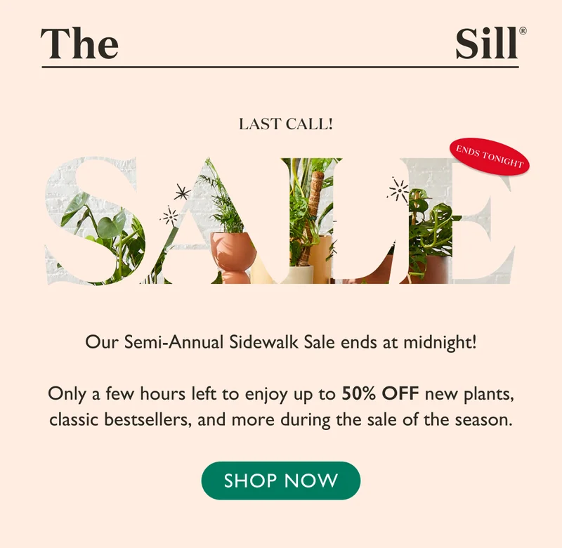 Only a few hours left to enjoy up to 50% OFF new plants, classic bestsellers, and more during the sale of the season.