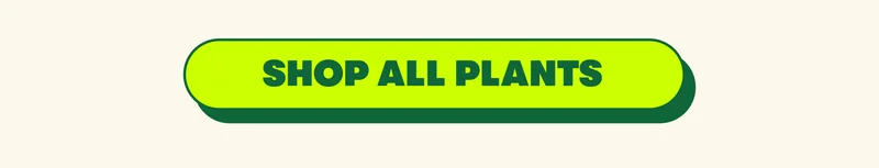 shop all plants