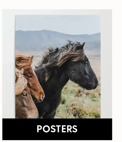 Shop Posters