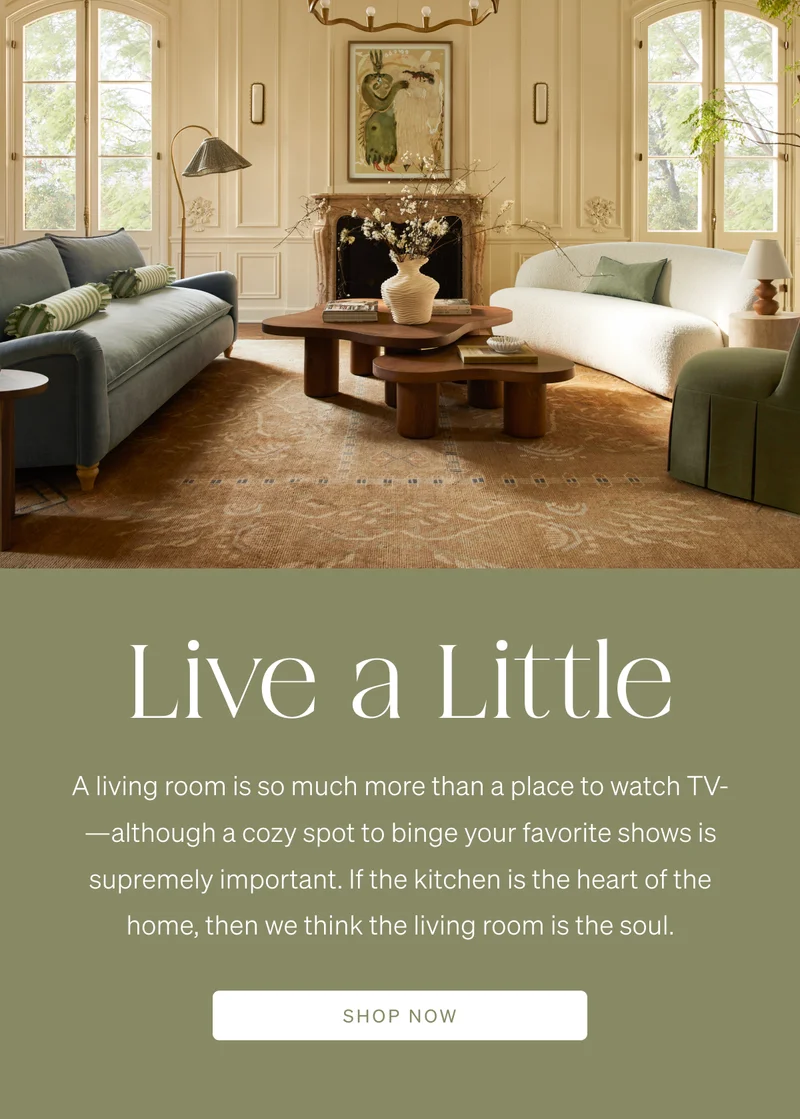 Shop Living Room