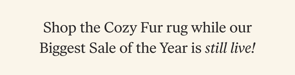 Shop the Cozy Fur rug while our Biggest Sale of the Year is still live!
