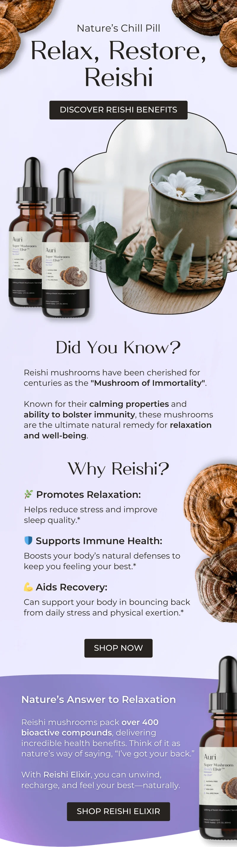 Relax, Restore, Reishi