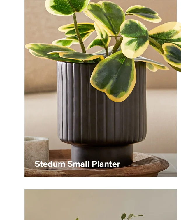 Stedum Small Planter