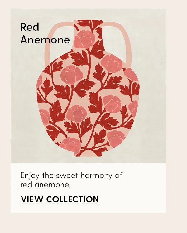Red Anemone | Enjoy the sweet harmony of red anemone.| View Collection