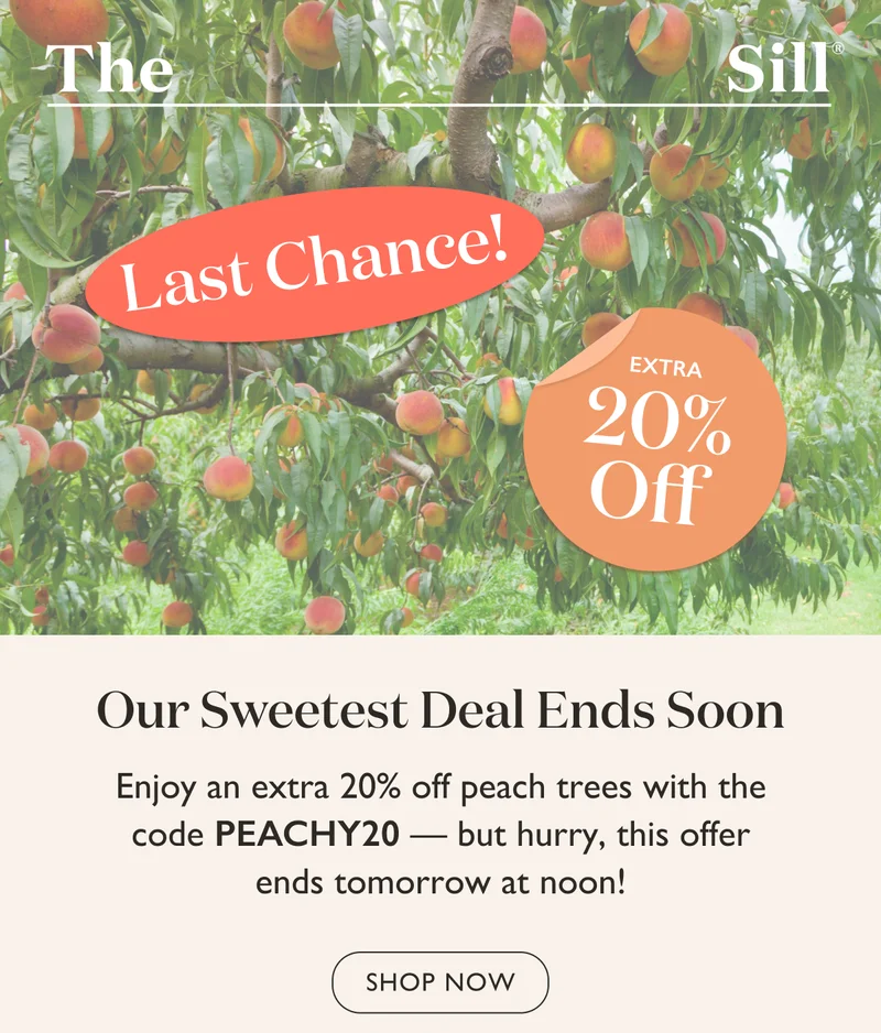 Use code discount code for an extra 20% off Peach Trees