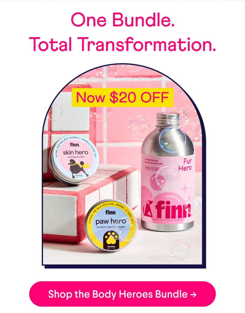 One Bundle. Total Transformation. Now $20 OFF! Shop The Body Heroes Bundle –>