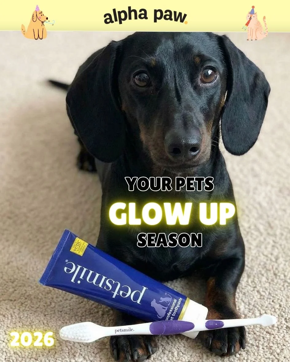 Glow up teeth