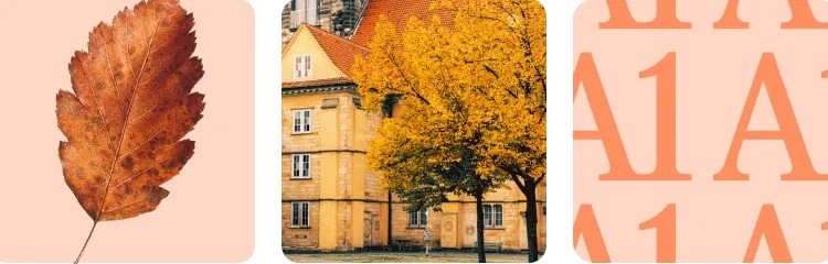 travel gif