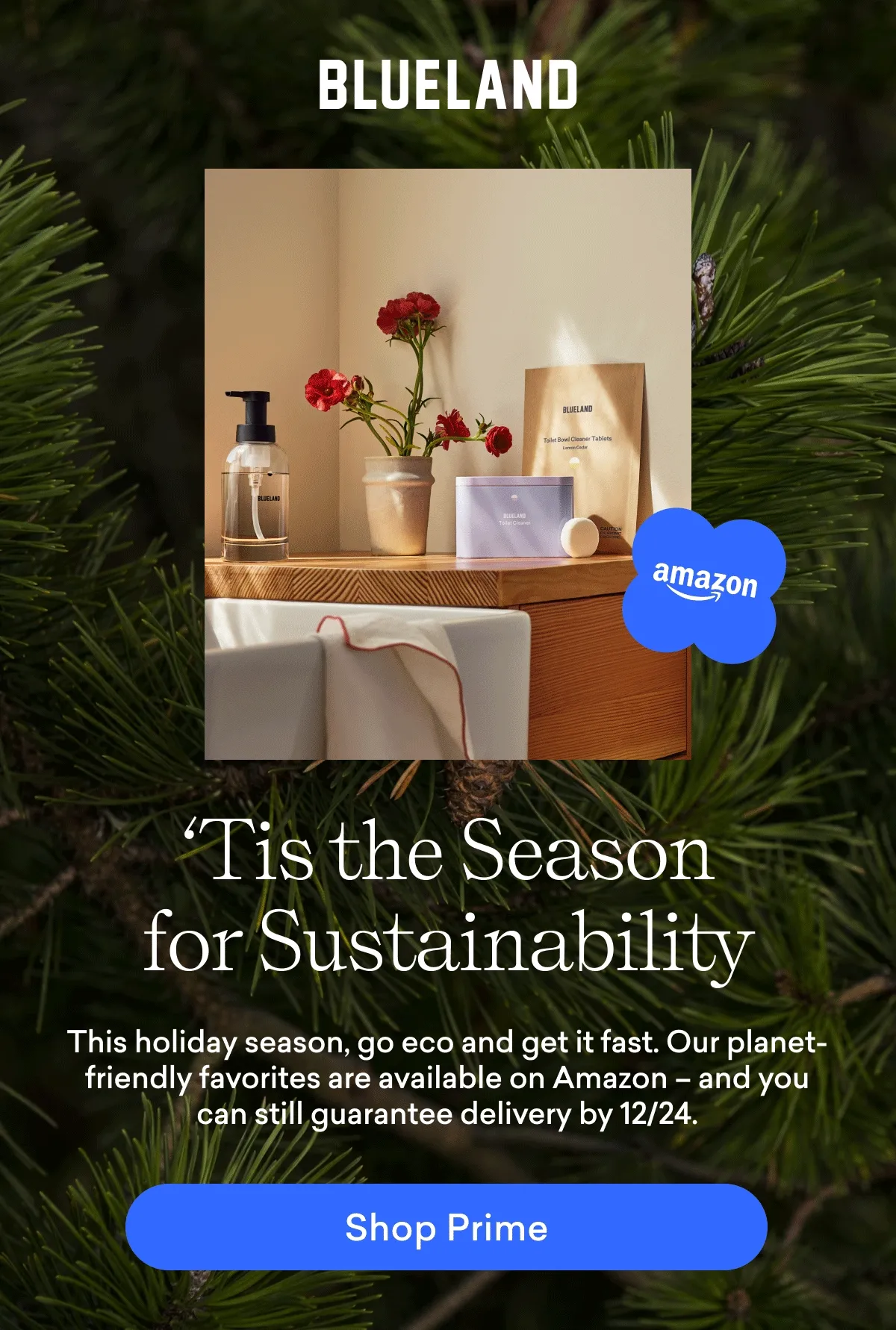 Shop Amazon Prime for delivery by 12/24