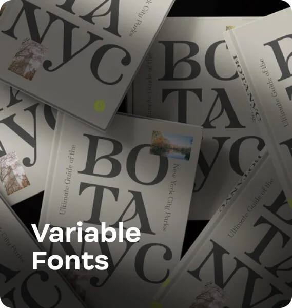 Variable Fonts
