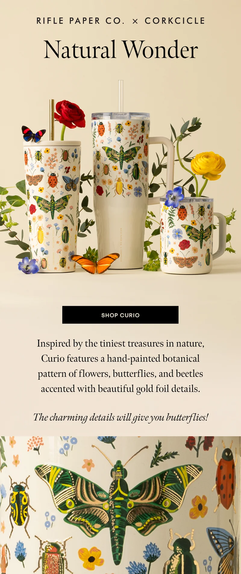 NEW Rifle Paper Co. Curio