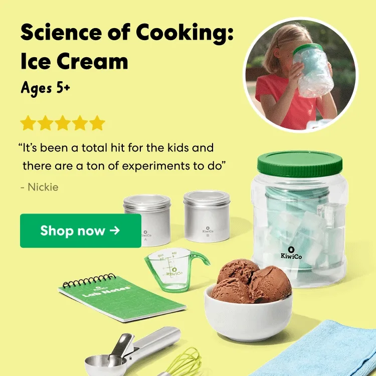 Science of Cooking: Ice Cream