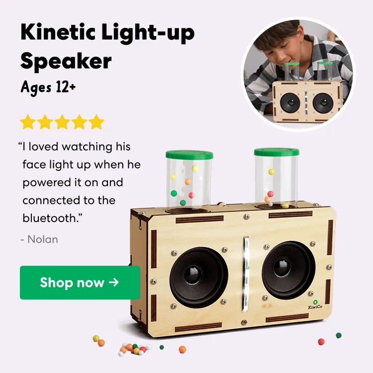 Kinetic Light-up Speaker