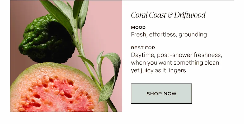 Coral Coast Essentials Set