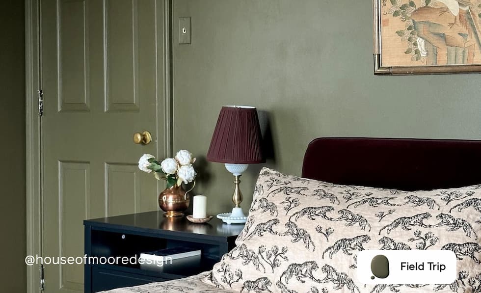 Bedroom painted in Field Trip