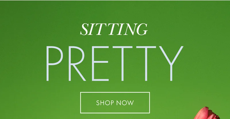 Sitting Pretty Shop Now