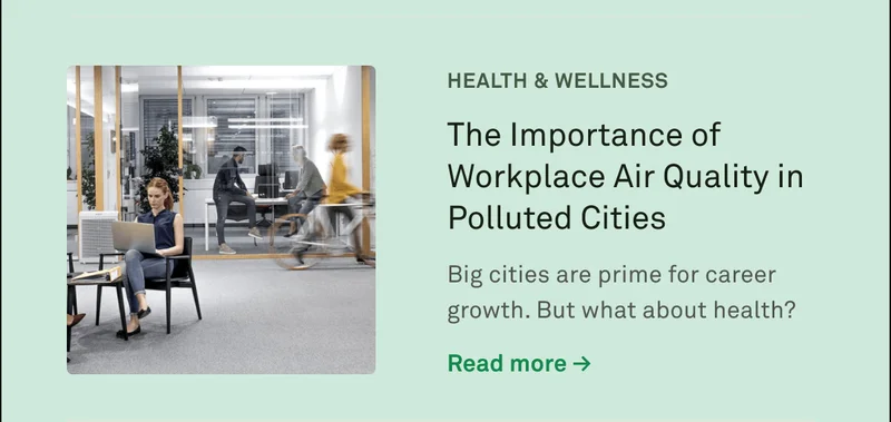 The Importance of Workplace Air Quality in Polluted Cities