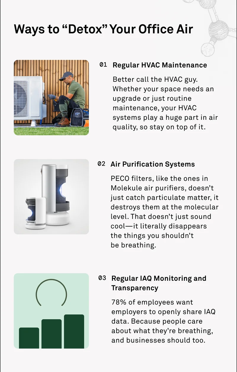 Ways to Detox Your Office Air