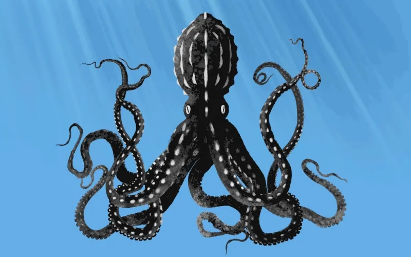 octopus quiz thumb nail