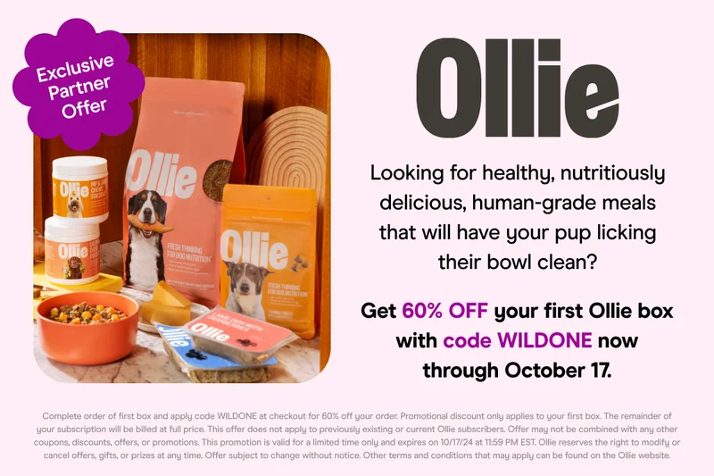 Exclusive Partner Offer Looking for healthy, nutritiously delicious, human-grade meals that will have your pup licking their bowl clean? Get 60% OFF your first Ollie box with code WILDONE now through October 17. Complete order of first box and apply code WILDONE at checkout for 60% off your order. Promotional discount only applies to your first box. The remainder of your subscription will be billed at full price. This offer does not apply to previously existing or current Ollie subscribers. Offer may not be combined with any other coupons, discounts, offers, or promotions. This promotion is valid for a limited time only and expires on 10/17/24 at 11:59 PM EST. Ollie reserves the right to modify or cancel offers, gifts, or prizes at any time. Offer subject to change without notice. Other terms and conditions that may apply can be found on the Ollie website. TRY IT OUT