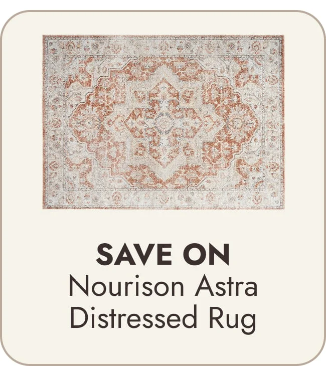 Nourison Astra Machine Washable Distressed Area Rug