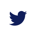 Twitter social icon