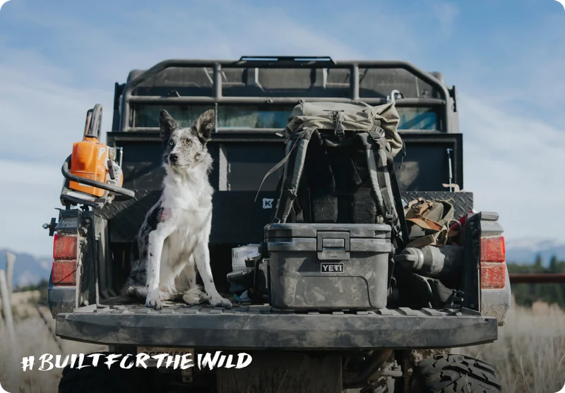 Built For The Wild