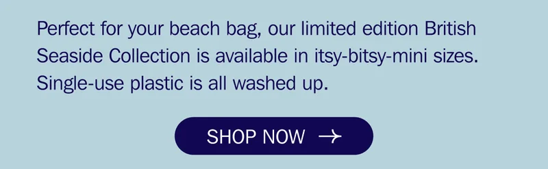 The British Seaside Collection