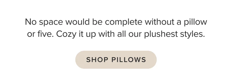 Shop Pillows.