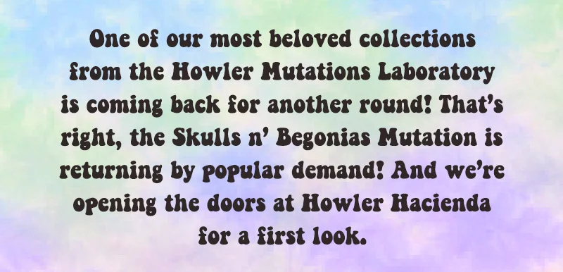 One of our most beloved collections from the Howler Mutations Laboratory is coming back for another round! That’s right, the Skulls n’ Begonias Mutation is returning by popular demand! And we’re opening the doors at Howler Hacienda for a first look fiesta.