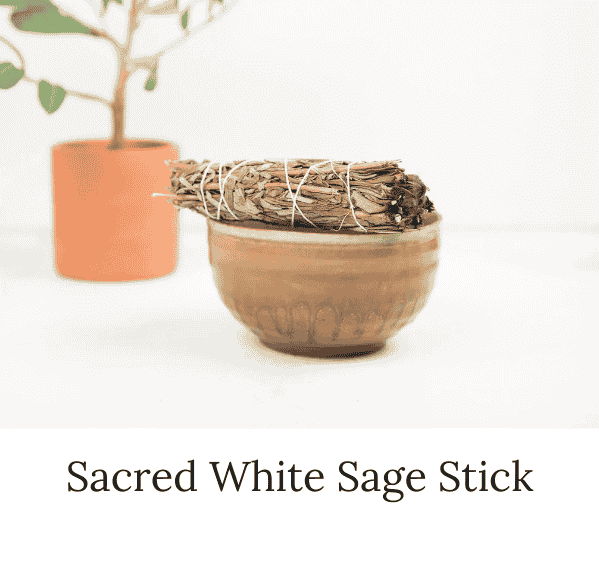 Sacred White Sage