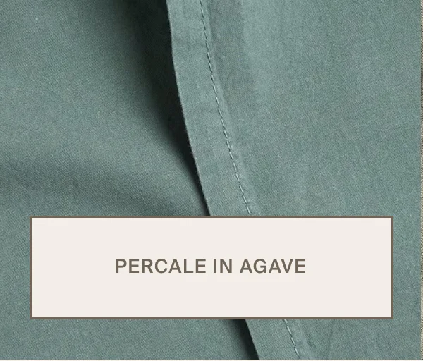 Shop Agave